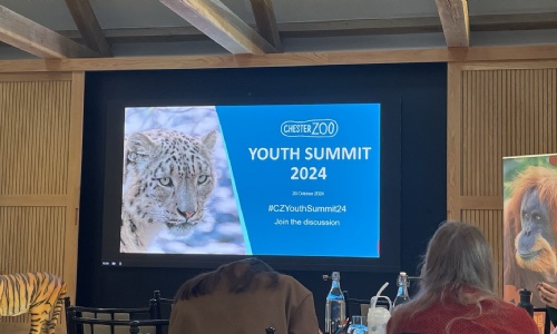 Chester Zoo Youth Summit image