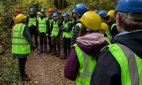 Birmingham Institute of Forest Research image