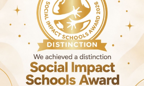 Social Impact Schools Award image