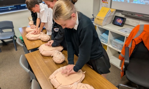 CPR Training image